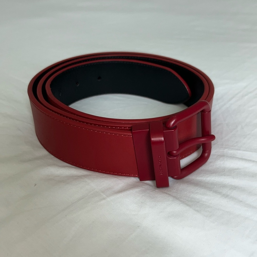 Coach Men’s Belt (38 US)